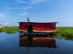La nueva amenaza de los pueblos palafitos del Caribe colombiano es una planta asiática