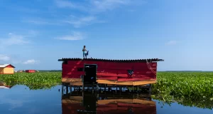 La nueva amenaza de los pueblos palafitos del Caribe colombiano es una planta asiática