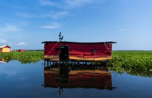 La nueva amenaza de los pueblos palafitos del Caribe colombiano es una planta asiática