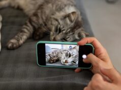 Recordar para consumir: el poder de la nostalgia en las plataformas sociales