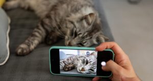 Recordar para consumir: el poder de la nostalgia en las plataformas sociales