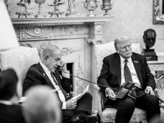 Ganadores y perdedores del plan de Trump para Gaza Ganadores y perdedores del plan de Trump para Gaza