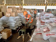 El gobierno recauda impuestos a la importación como nunca El gobierno recauda impuestos a la importación como nunca