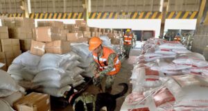El gobierno recauda impuestos a la importación como nunca El gobierno recauda impuestos a la importación como nunca