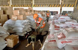 El gobierno recauda impuestos a la importación como nunca El gobierno recauda impuestos a la importación como nunca