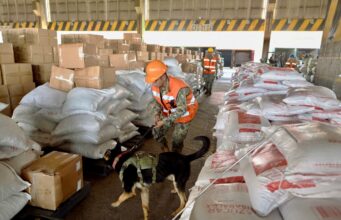 El gobierno recauda impuestos a la importación como nunca El gobierno recauda impuestos a la importación como nunca