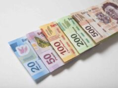 Cetes retienen atractivo para invertir, casi duplican a la inflación Cetes retienen atractivo para invertir, casi duplican a la inflación