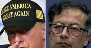Trump acusa al presidente de Colombia de "fomentar" la producción de droga Trump acusa al presidente de Colombia de "fomentar" la producción de droga