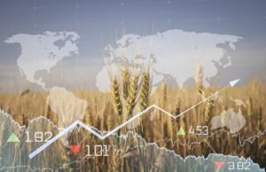 En el 80 aniversario de la FAO. El largo camino que falta En el 80 aniversario de la FAO. El largo camino que falta