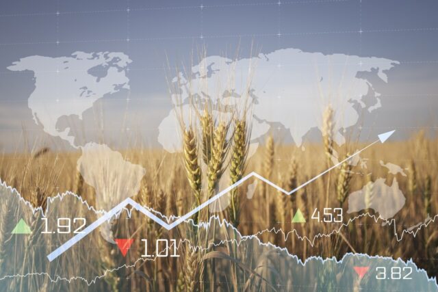 En el 80 aniversario de la FAO. El largo camino que falta