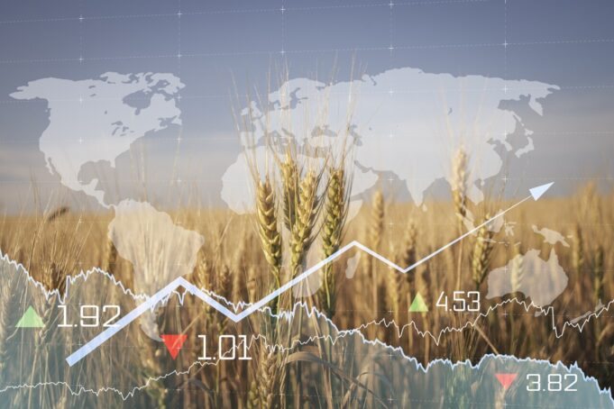 En el 80 aniversario de la FAO. El largo camino que falta En el 80 aniversario de la FAO. El largo camino que falta