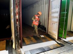 El huachicol fiscal genera daños al erario por más de 600,000 millones de pesos El huachicol fiscal genera daños al erario por más de 600,000 millones de pesos