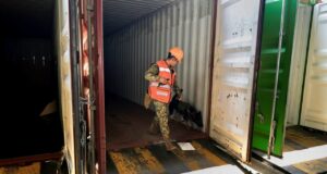 El huachicol fiscal genera daños al erario por más de 600,000 millones de pesos El huachicol fiscal genera daños al erario por más de 600,000 millones de pesos