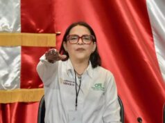 CFE recibirá más subsidio para tarifas eléctricas en 2025 CFE recibirá más subsidio para tarifas eléctricas en 2025
