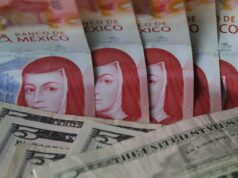 Acciones de Grupo México se recuperan tras su peor desplome desde 2008 Acciones de Grupo México se recuperan tras su peor desplome desde 2008