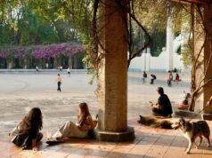 Del dato a la experiencia. Una mirada más genuina al impacto social Del dato a la experiencia. Una mirada más genuina al impacto social