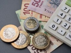 Estos dos tipos de Cetes elevan sus rendimientos y casi duplican a la inflación Estos dos tipos de Cetes elevan sus rendimientos y casi duplican a la inflación