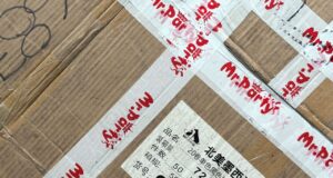 Los aranceles impuestos por México a China y otros países sin TLC entran en vigor Los aranceles impuestos por México a China y otros países sin TLC entran en vigor